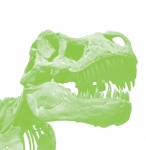 Trex - B share schemes