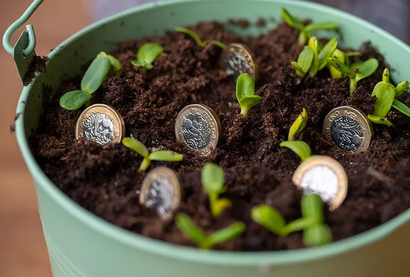 Consolidating pensions couple